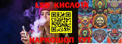 прущие крисы Славгород