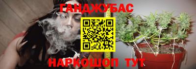 мяу мяу мука Славянск-на-Кубани
