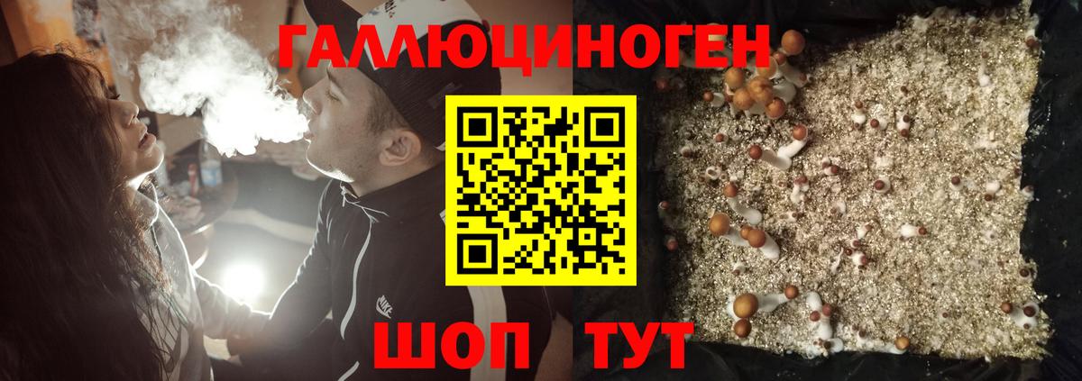 Галлюциногенные грибы Psilocybine cubensis  Вход с VPN  Псков 