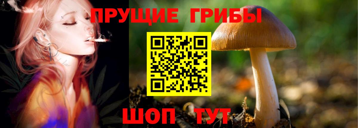 Галлюциногенные грибы MAGIC MUSHROOMS Псков